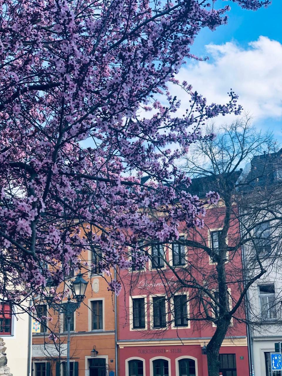 Altes Handelshaus Plauen Buitenkant foto